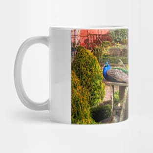 Peacock Time Mug